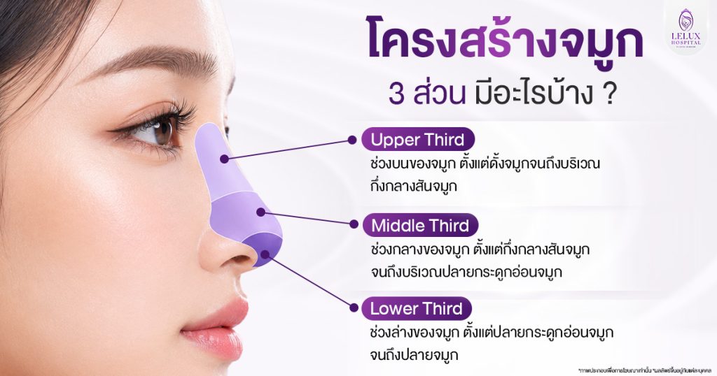 ทำความรู้จักโครงสร้างจมูก 3 ส่วน มีอะไรบ้าง
