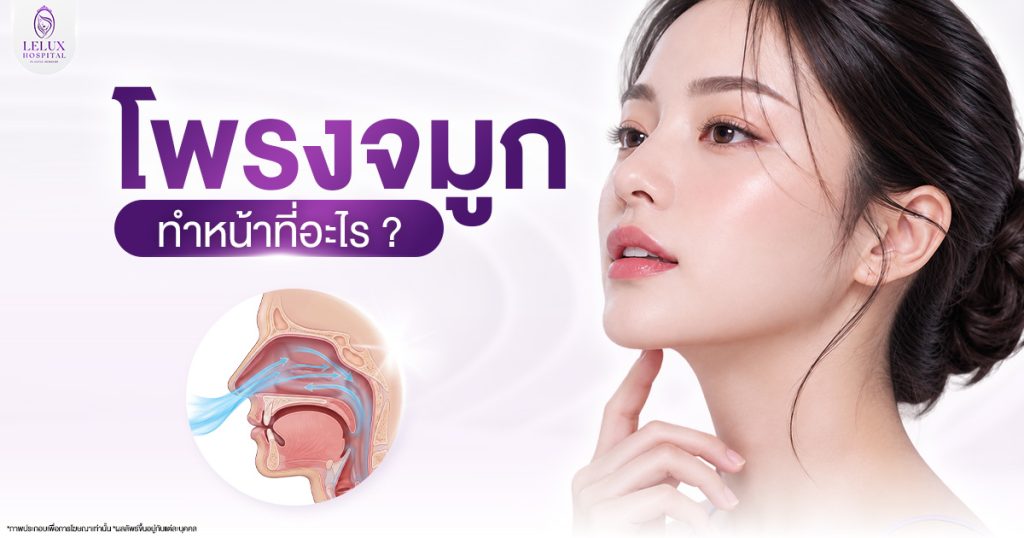  โพรงจมูกทำหน้าที่อะไร