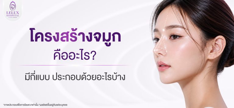 โครงสร้างจมูก คืออะไร มีกี่แบบ