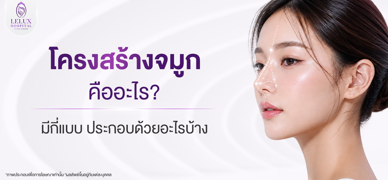 โครงสร้างจมูก คืออะไร มีกี่แบบ